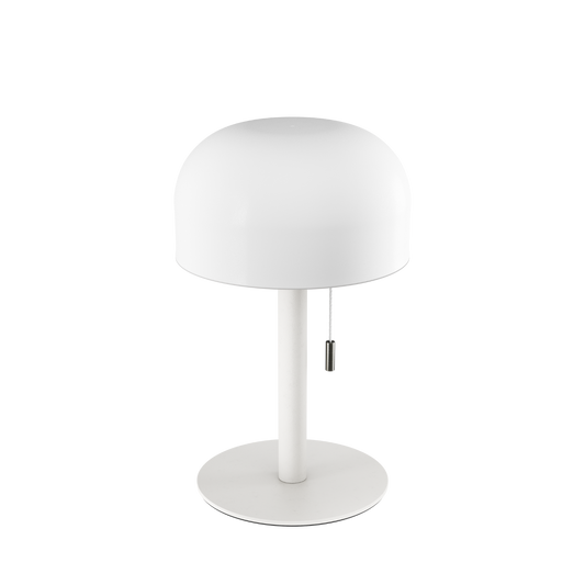 White LED Lampe 24 * 1,8cm